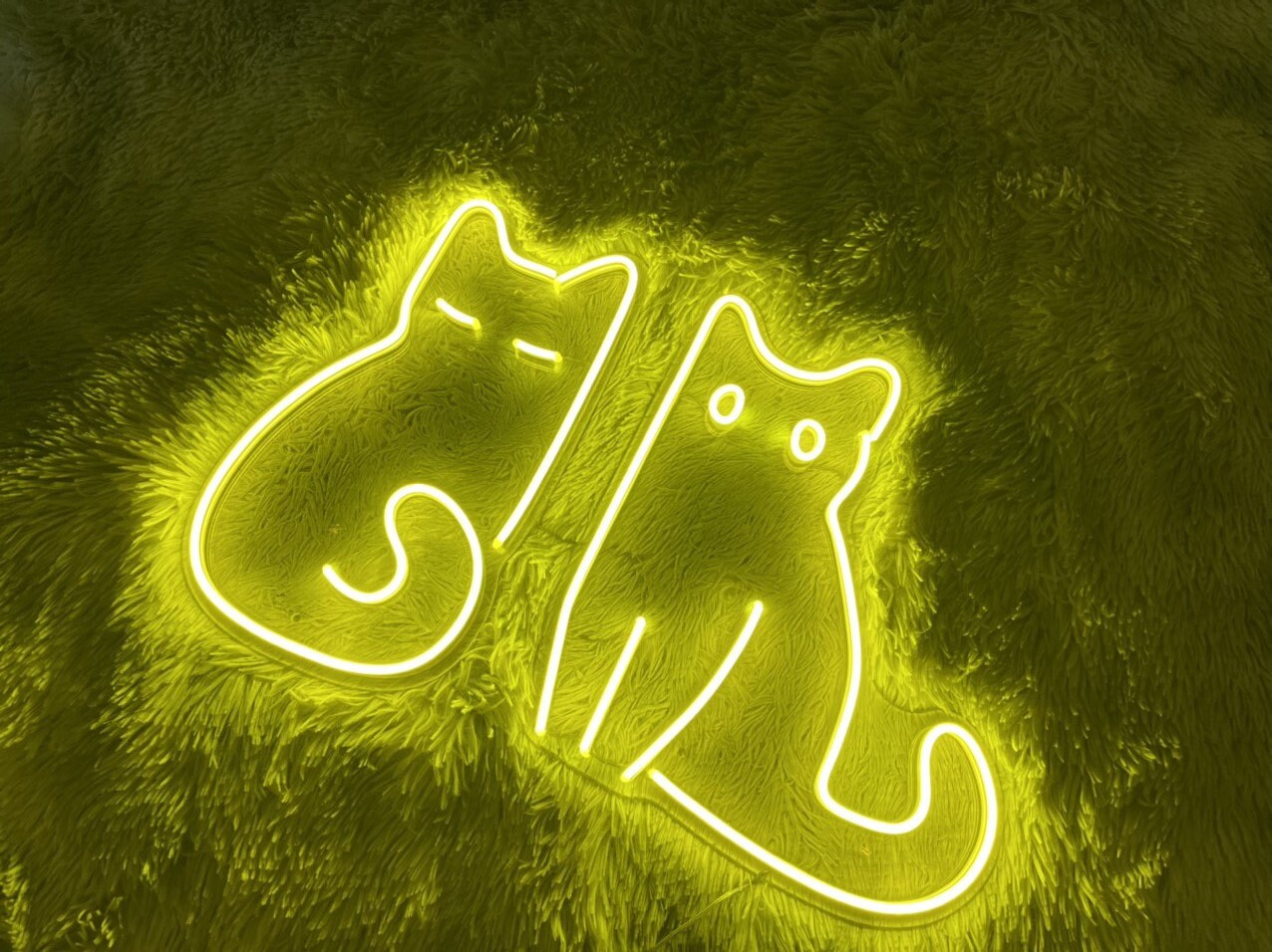 Funny Cats Neon Sign