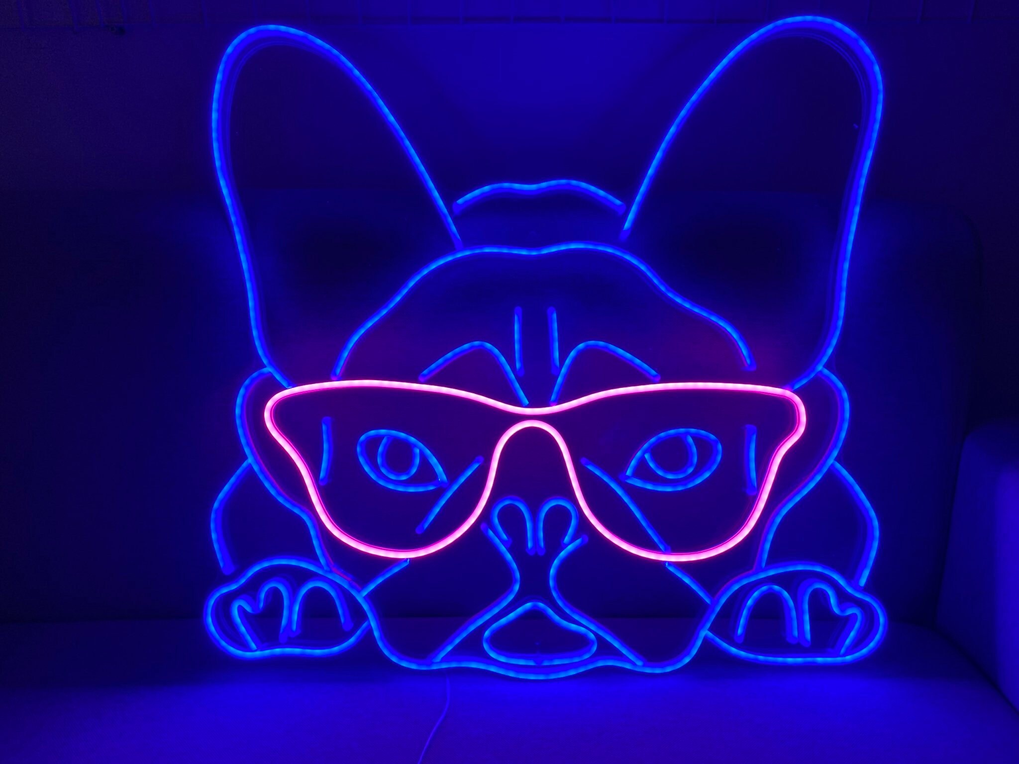 Pitbull Neon Sign Dog Neon Sign