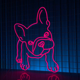 French Bulldog Neon Sign Animal Wall Decor Art Line Decor