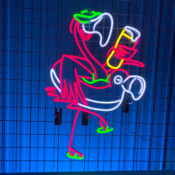 Flamingo Drink Beer Neon Signs Bar Pub Beer Club Wall Decor