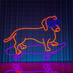Sausage Dog Skateboarding Neon Sign Long-lasting Decor