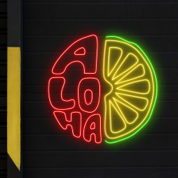 Aloha Neon LED Sign Tropical Style Wall Art Decor