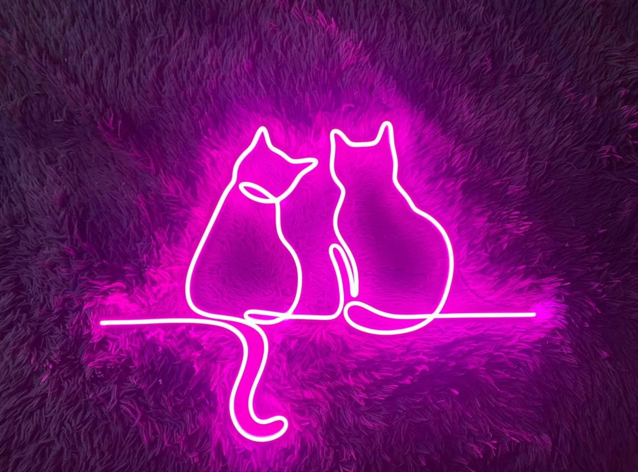 Two Cat Neon Signs Neon Lights For Wall