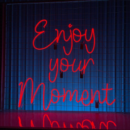 Enjoy Your Moment Neon Sign Trendy Wall Decor
