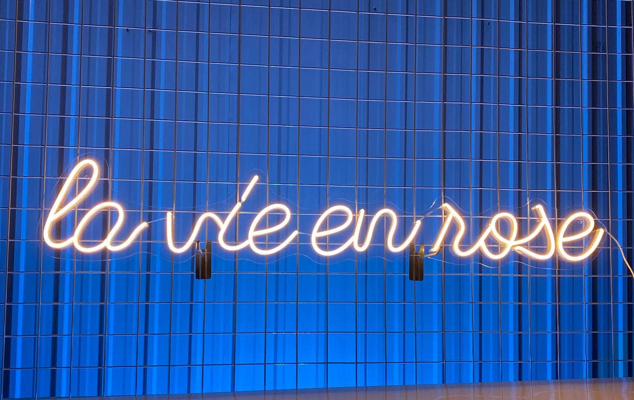 La Vie En Rose Neon Sign Home Wall Decor