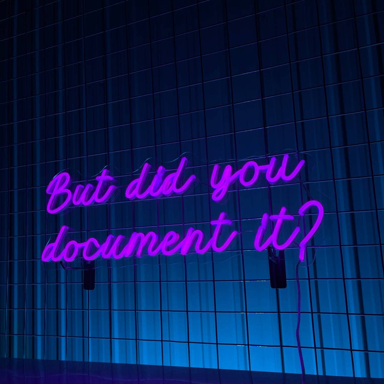 But Did You Document It Neon Sign
