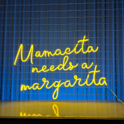 Mamacita Needs A Margarita Neon Sign Wall Art Decor
