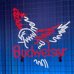 Budweiser Neon Signs Beer Store Decor