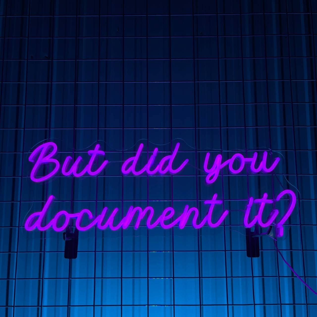 But Did You Document It Neon Sign