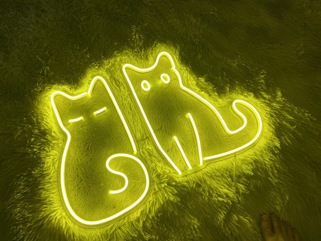 Funny Cats Neon Sign