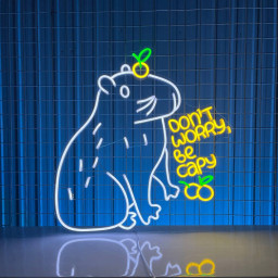 Don&'t Worry Be Capy Neon Signs