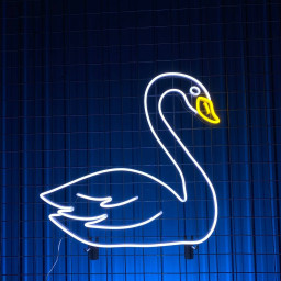 Duck Neon Sign Animal Long-lasting Art Wall Decor