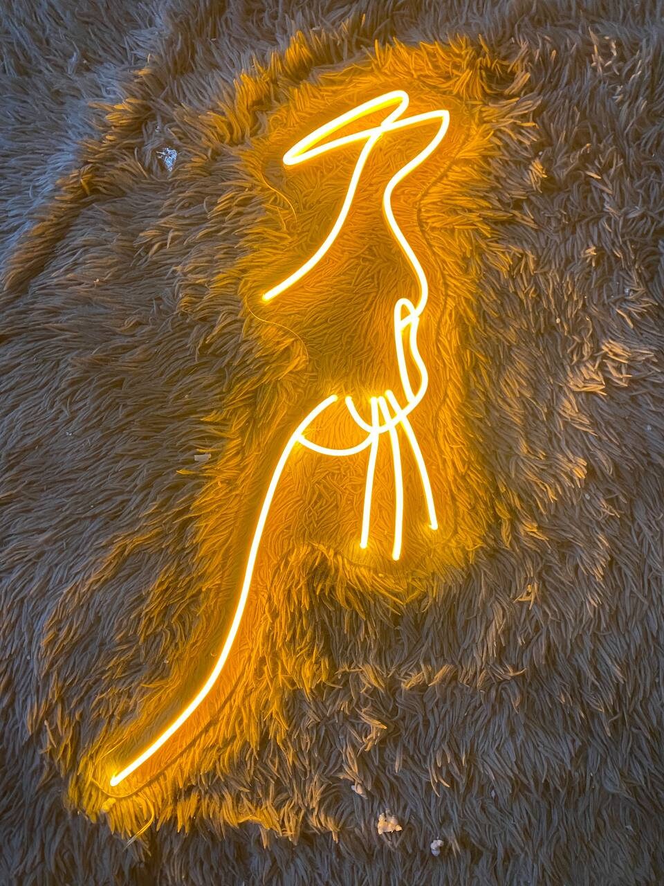 Cat Neon Signs Pet Lover Gifts