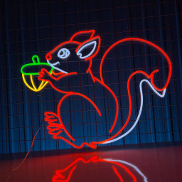 Squirrel Neon Sign Animal Autumn Long-lasting Decor