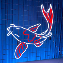 Multi-color KOI Fish Neon Sign Long-lasting Wall Art Decor