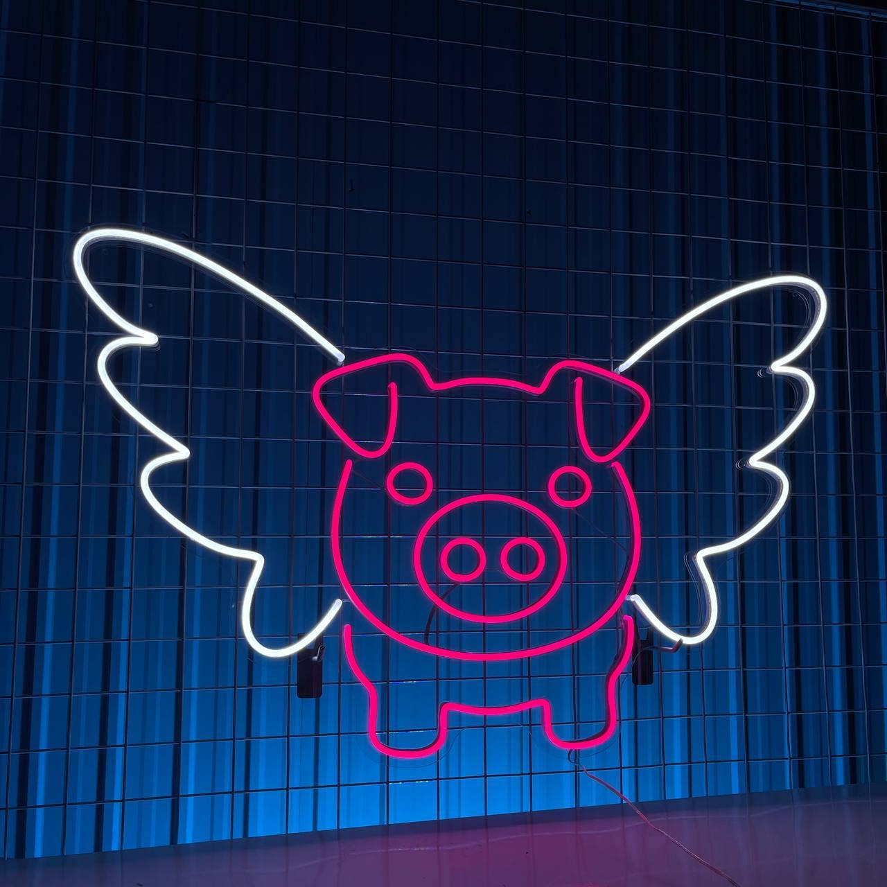 Pig FLy Neon Sign Animal Cute Wall Decor