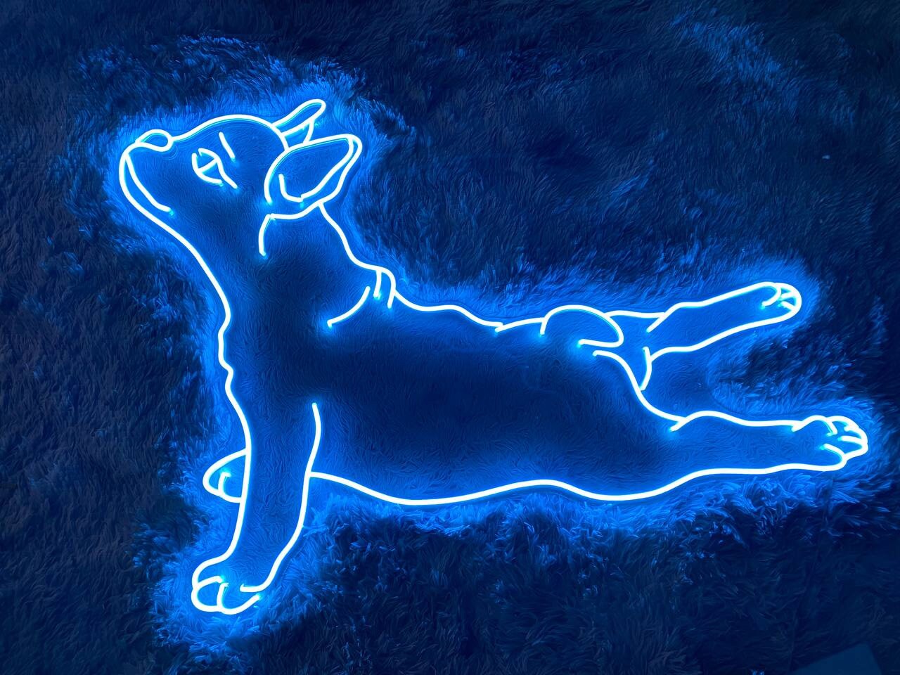 Lying Pug Dog Animal Signs