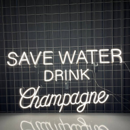 Save Water Drink Champagne Neon Sign Bar Bub Wall Decor