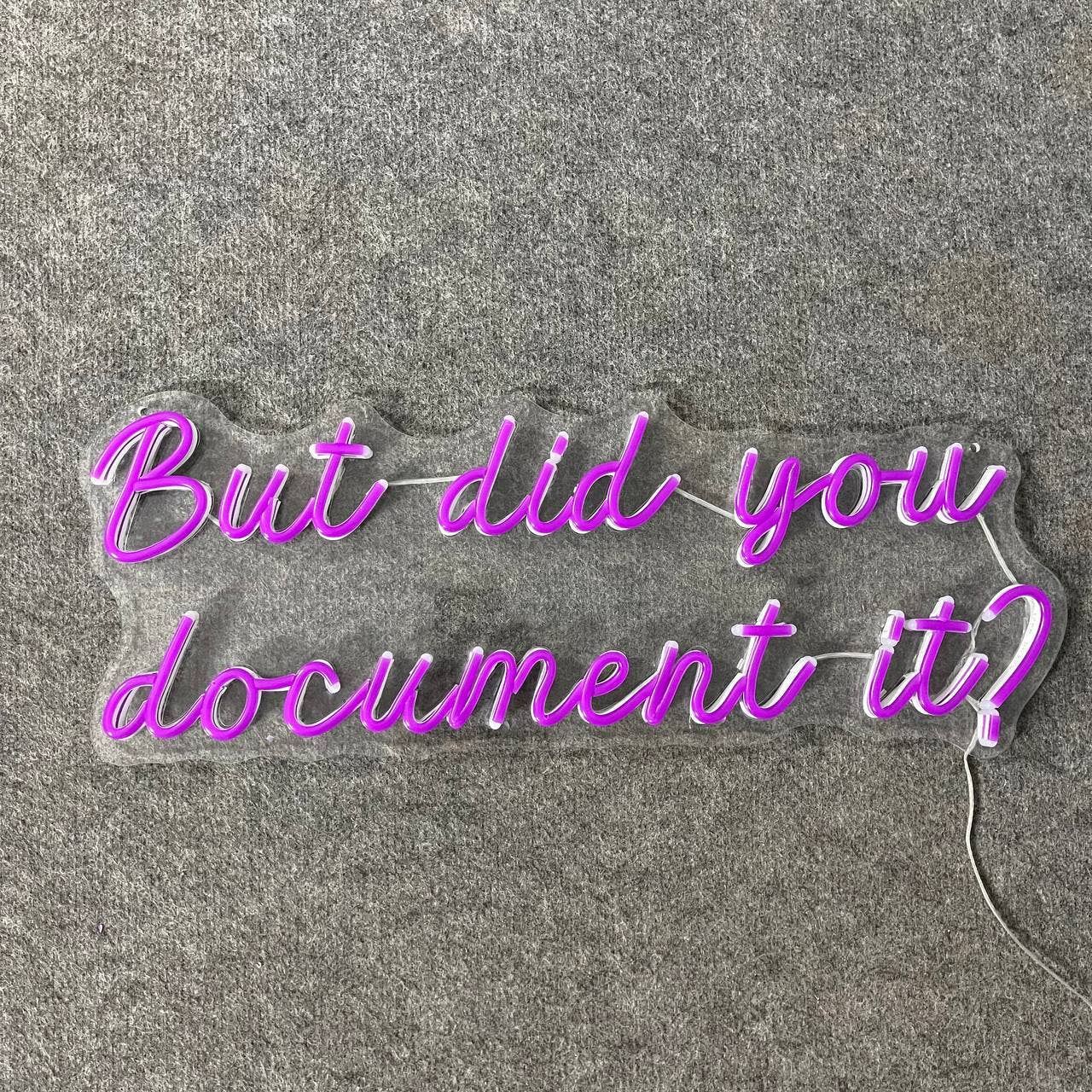 But Did You Document It Neon Sign