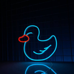 Cute Duck Neon Sign Animal Long-lasting Light Wall Decor