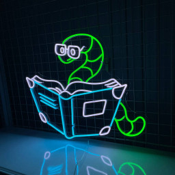 Snake Read Book Neon Sign Animal Art Decor