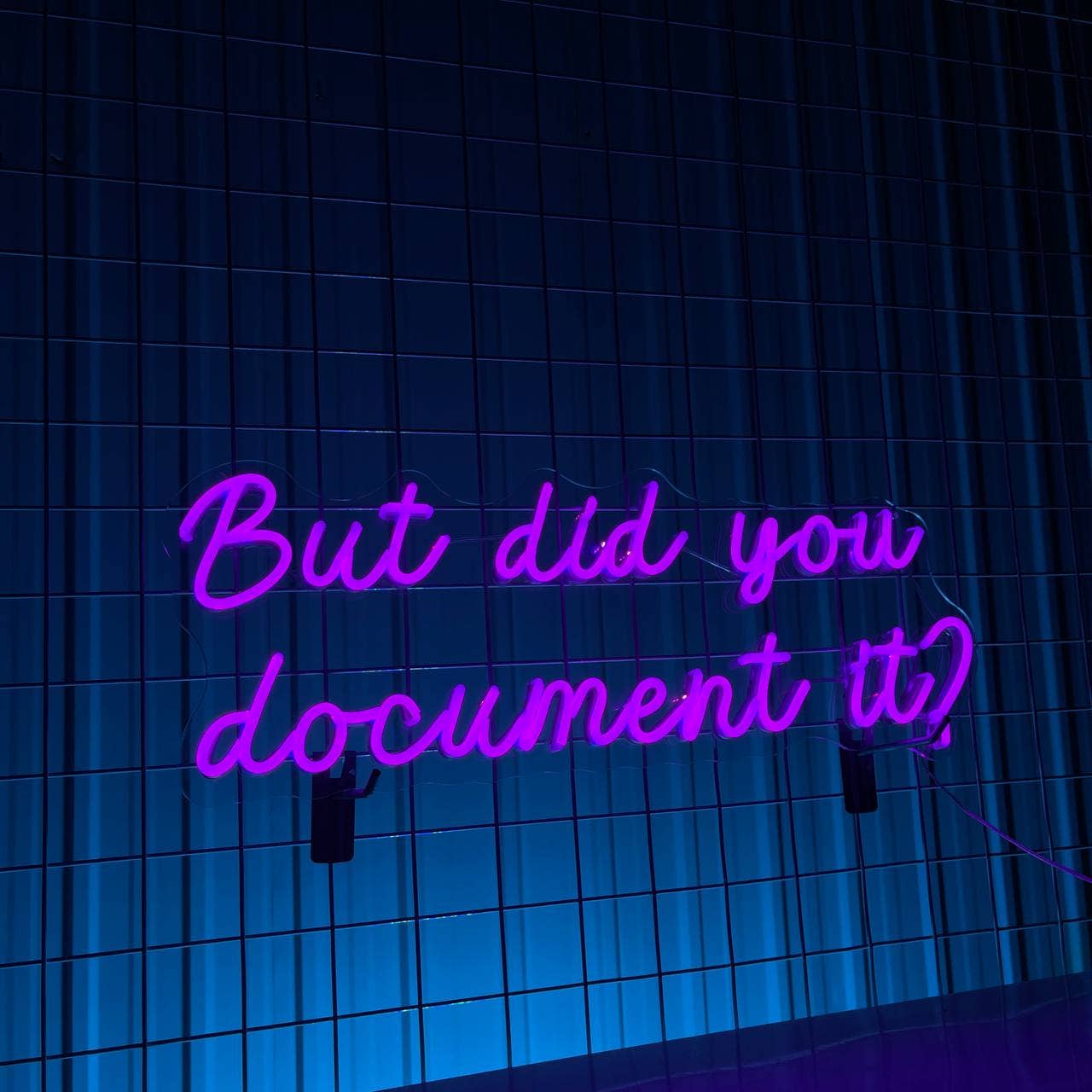 But Did You Document It Neon Sign