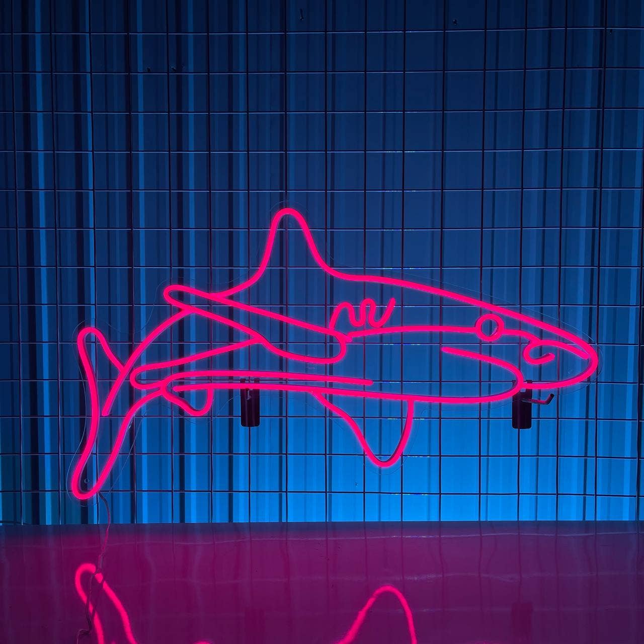 Shark Fish Neon Sign Animal Wall Art Wall Decor