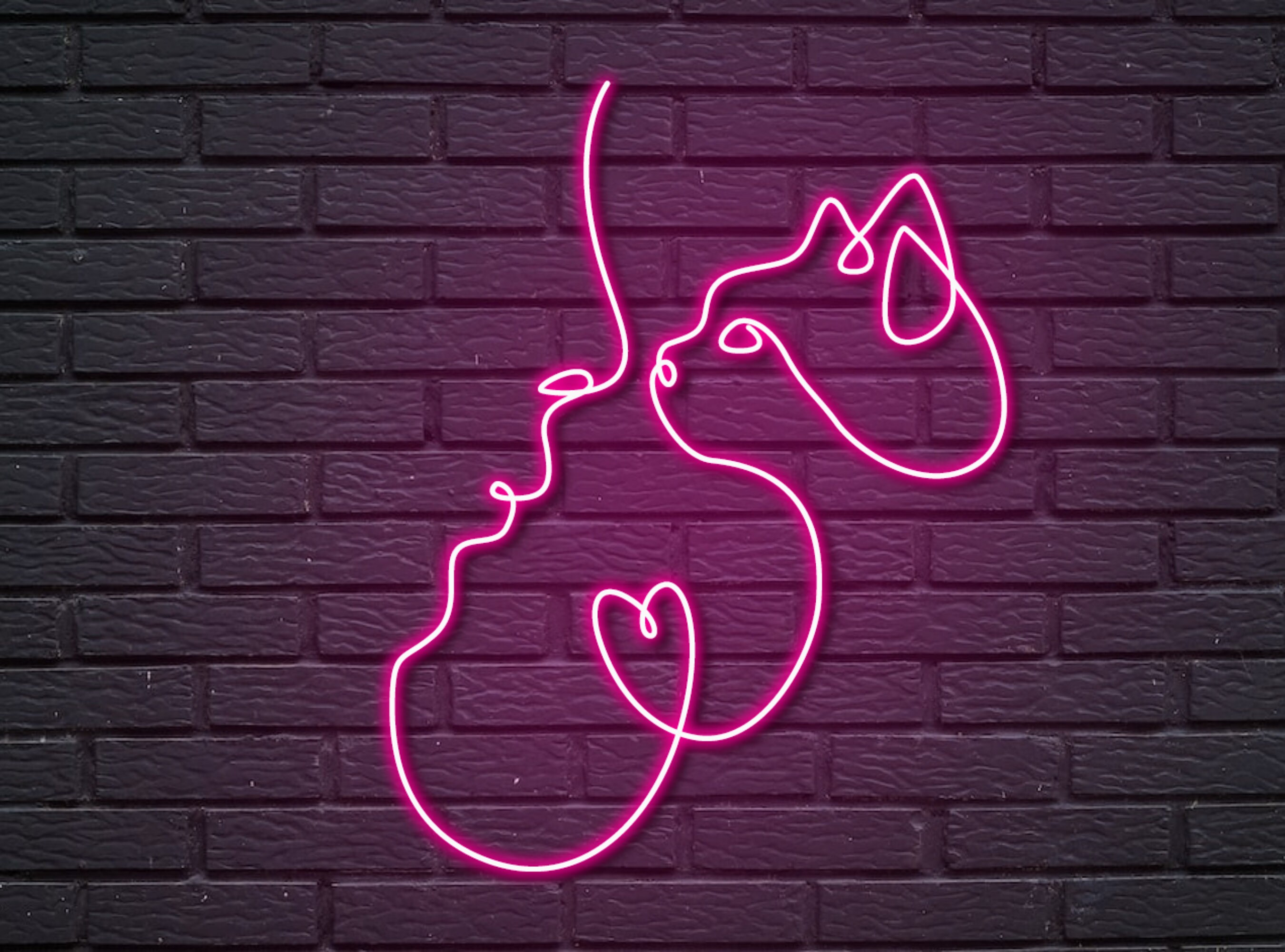 Woman and Cat Line Art Neon Sign
