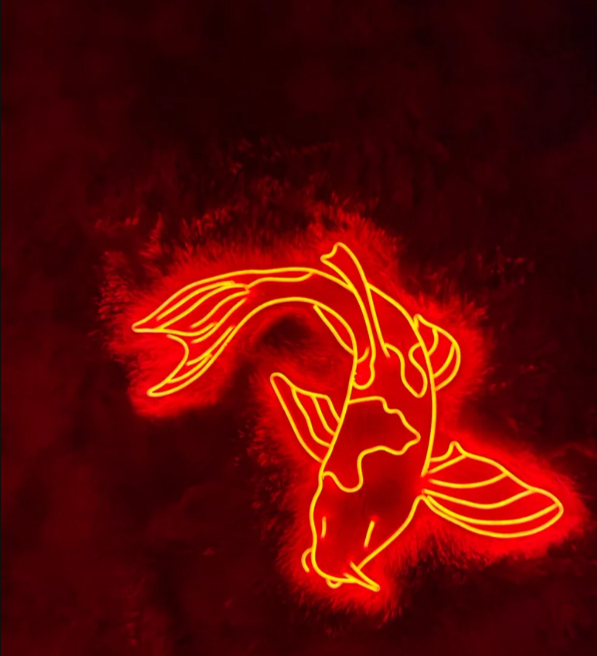 Koi Fish Neon Sign Wall Art Decor