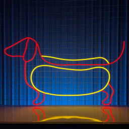 Sausage Dog Neon Sign Hotdog Fastfood Wall Decor
