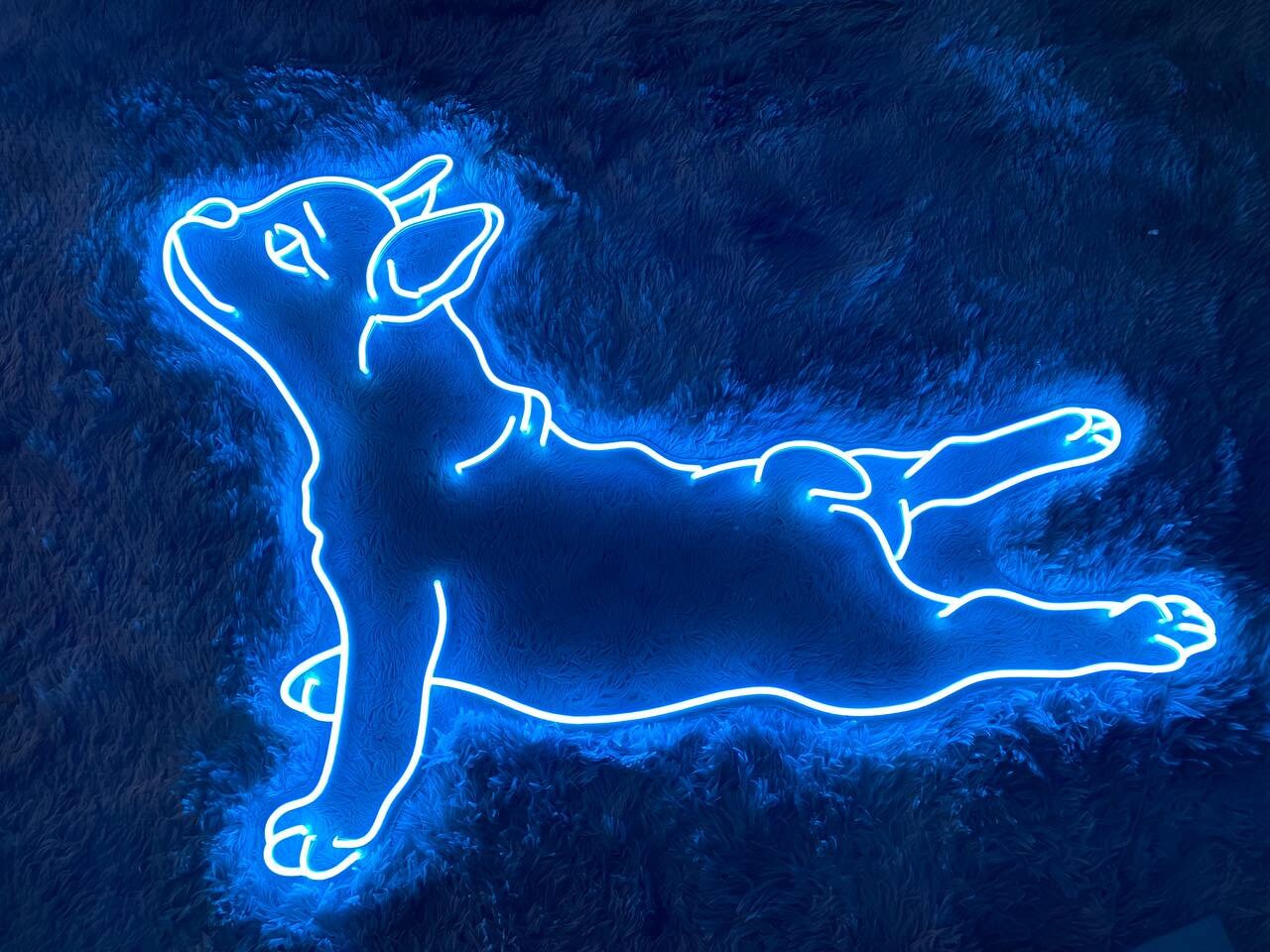 Lying Pug Dog Animal Signs