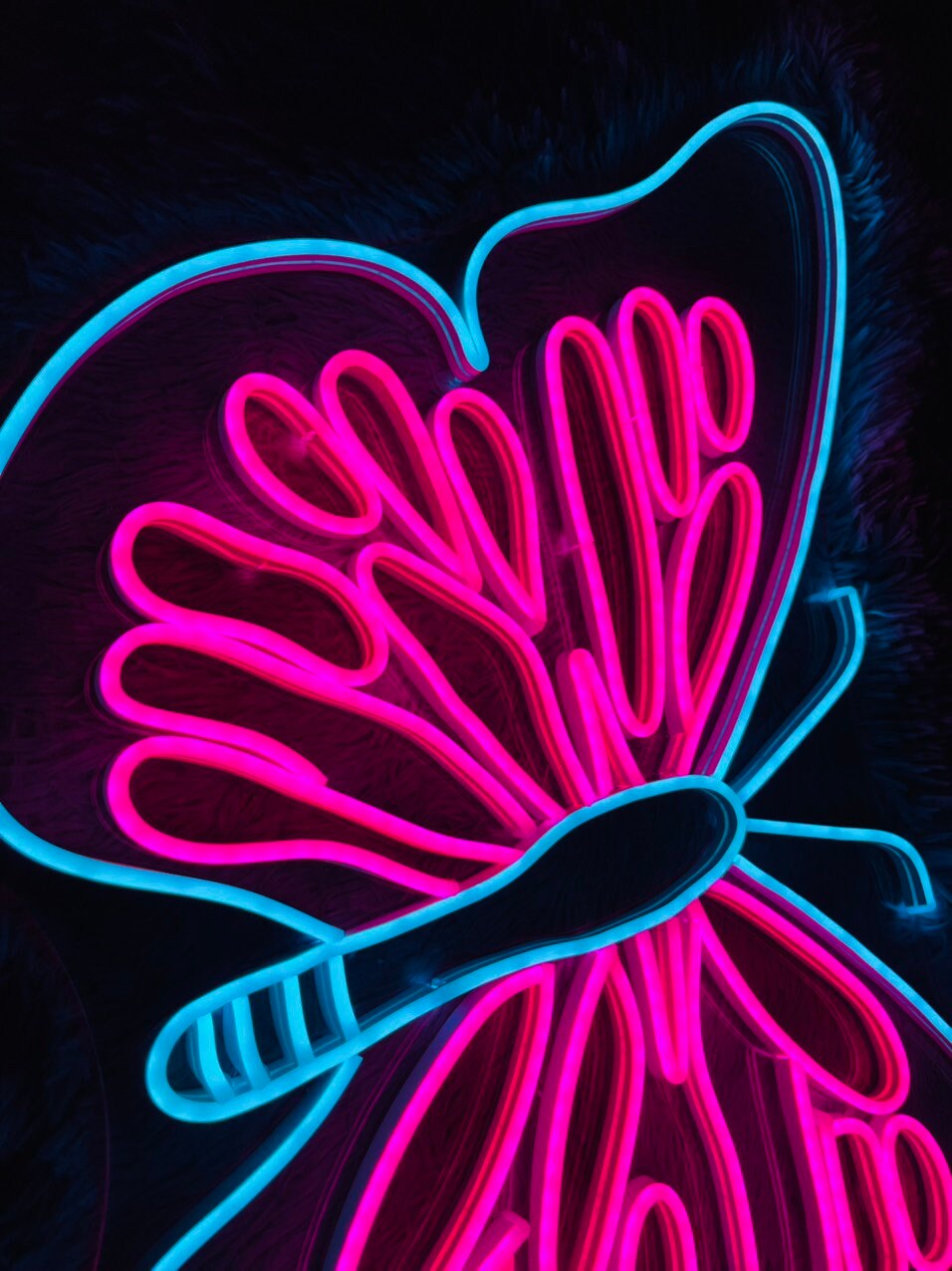 Butterfly Neon Sign Animal