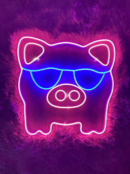 Cool Pig Neon Signs