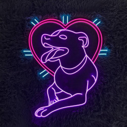 Dog Neon Sign Neon Sign Gift For Pet