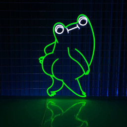 Frog Sexy Neon Sign Big Ass Frog Neon Light Frog Funny Led