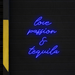 Love Passion And Tequila Neon LED Sign Bar Decor Wall Art