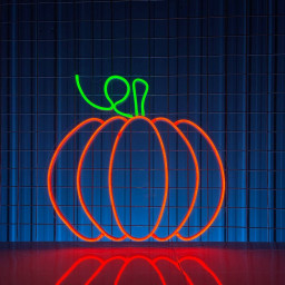 Pumpkin Neon Sign Thanksgiving Halloween Wall Party Decor