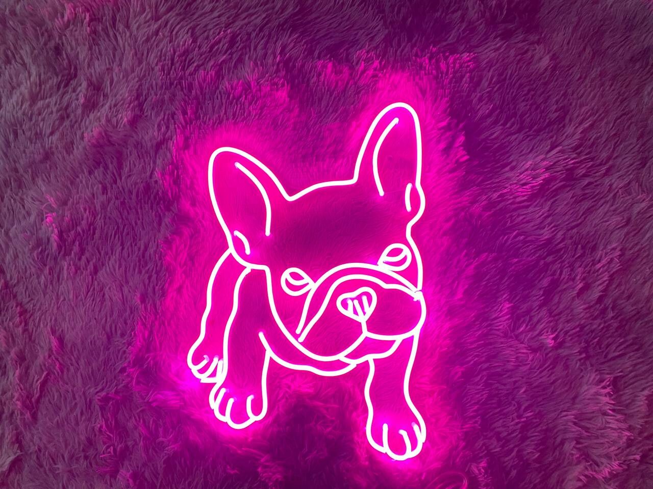 Pug French Bulldog Neon Sign Decoration Gift