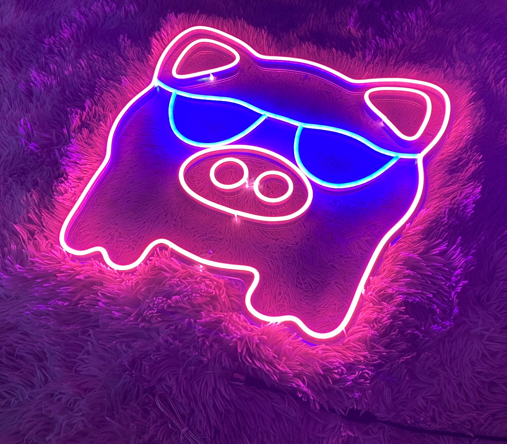 Cool Pig Neon Signs