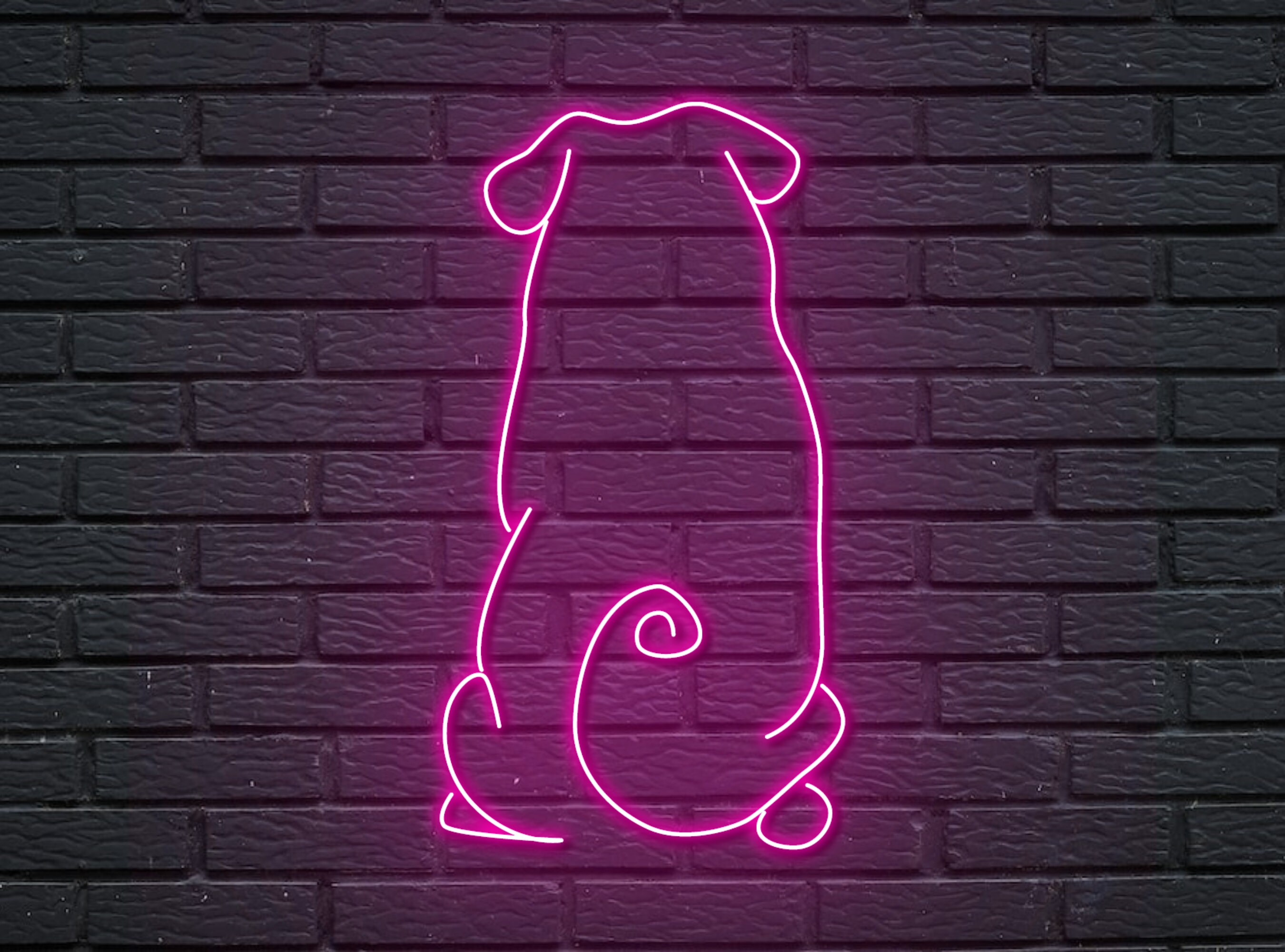 Back Pug French Bulldog Neon Sign