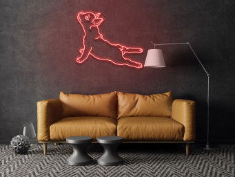 French Bulldog Neon Signs