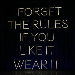 Forger The Rules If You Like It Wear It Neon Sign Decoration