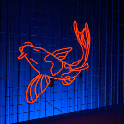 KOI fish Neon Sign Long-lasting Wall Art Decor