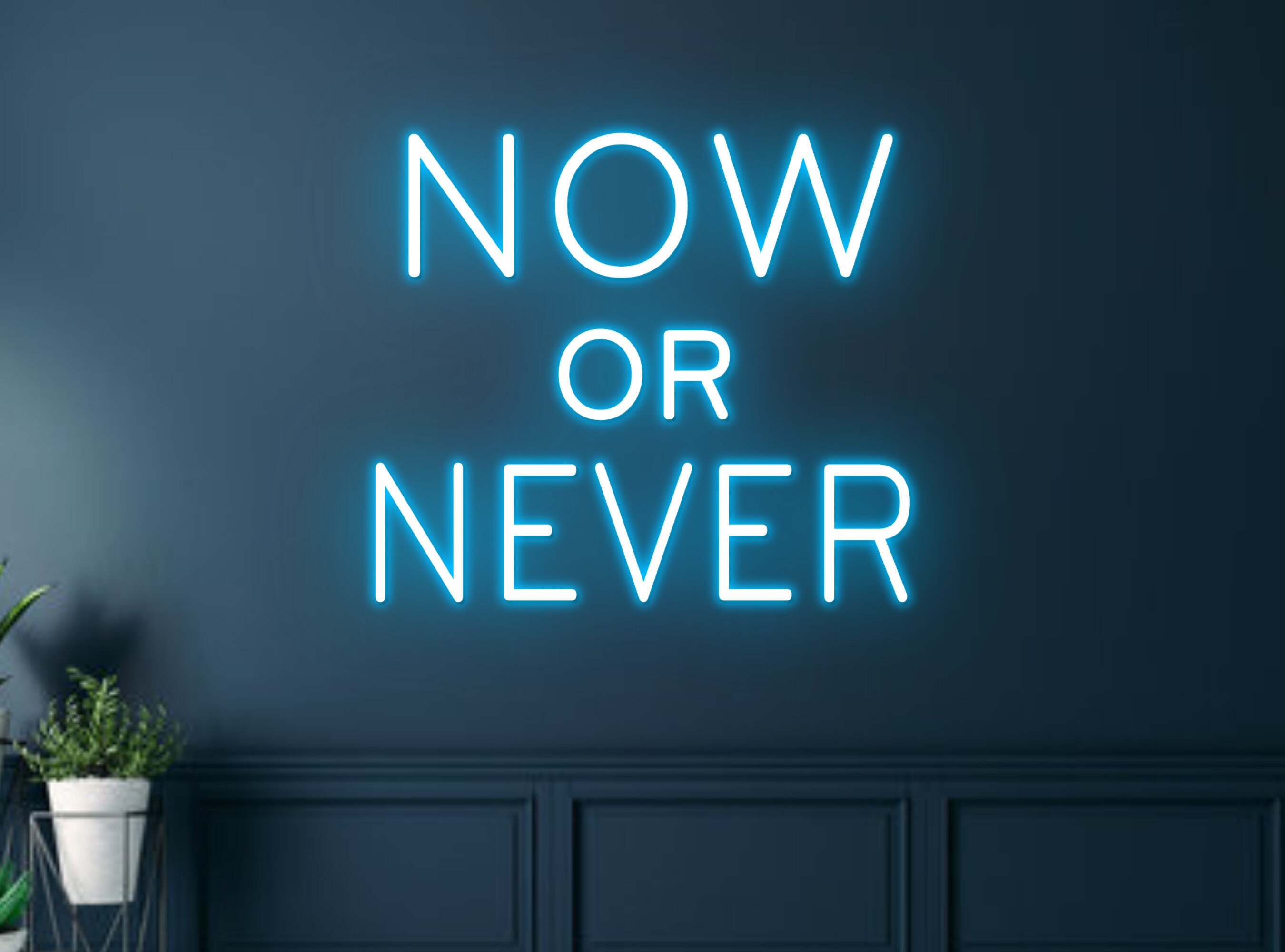 Now Or Never Neon Sign