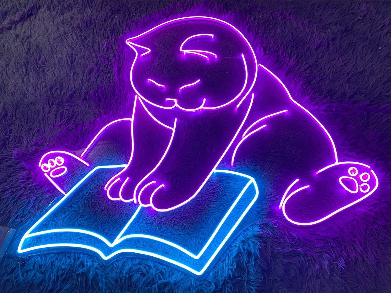 Cat Reading Book Neon Signs