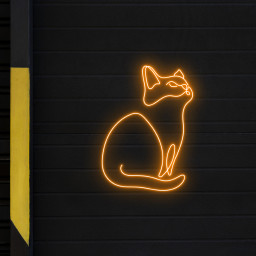 Cat Line Art Neon LED Sign Animal Wall Decor