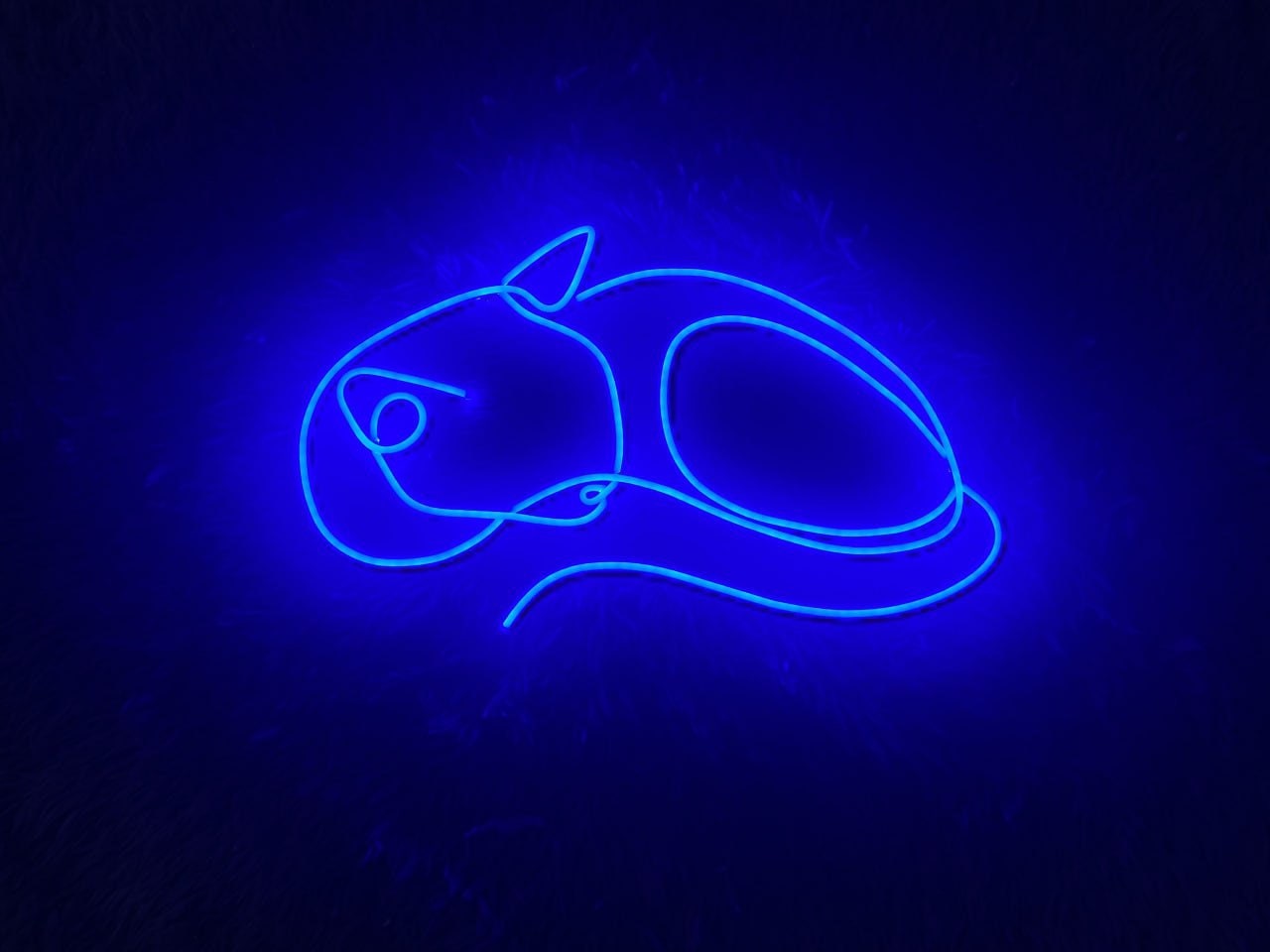 Cat Neon Sign Animal Wall Art Decor