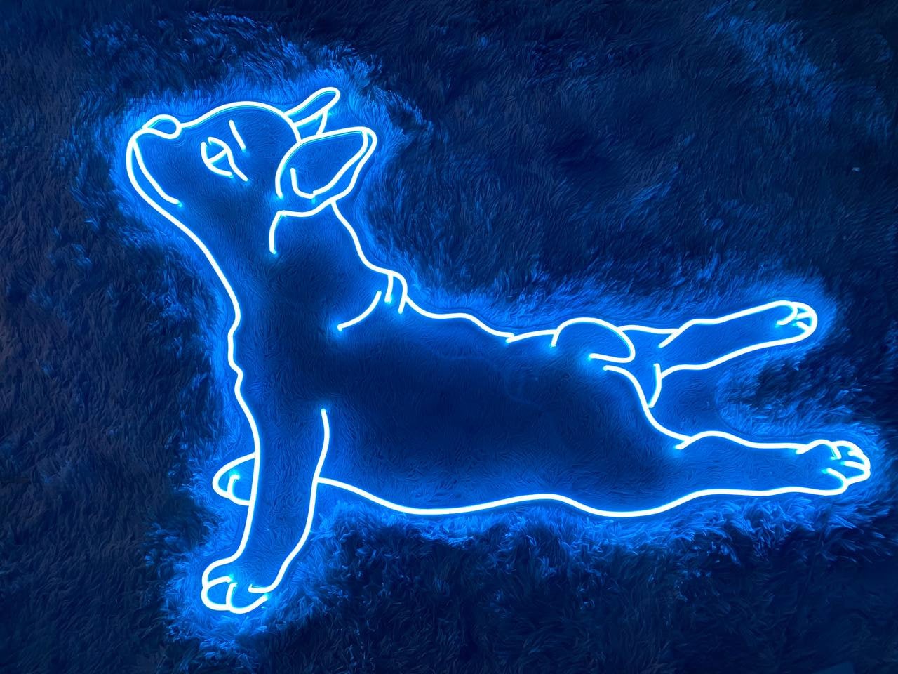 Lying Pug Dog Animal Signs