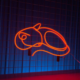Fox Line Neon Sign Animal Shop Wall Sign Decor