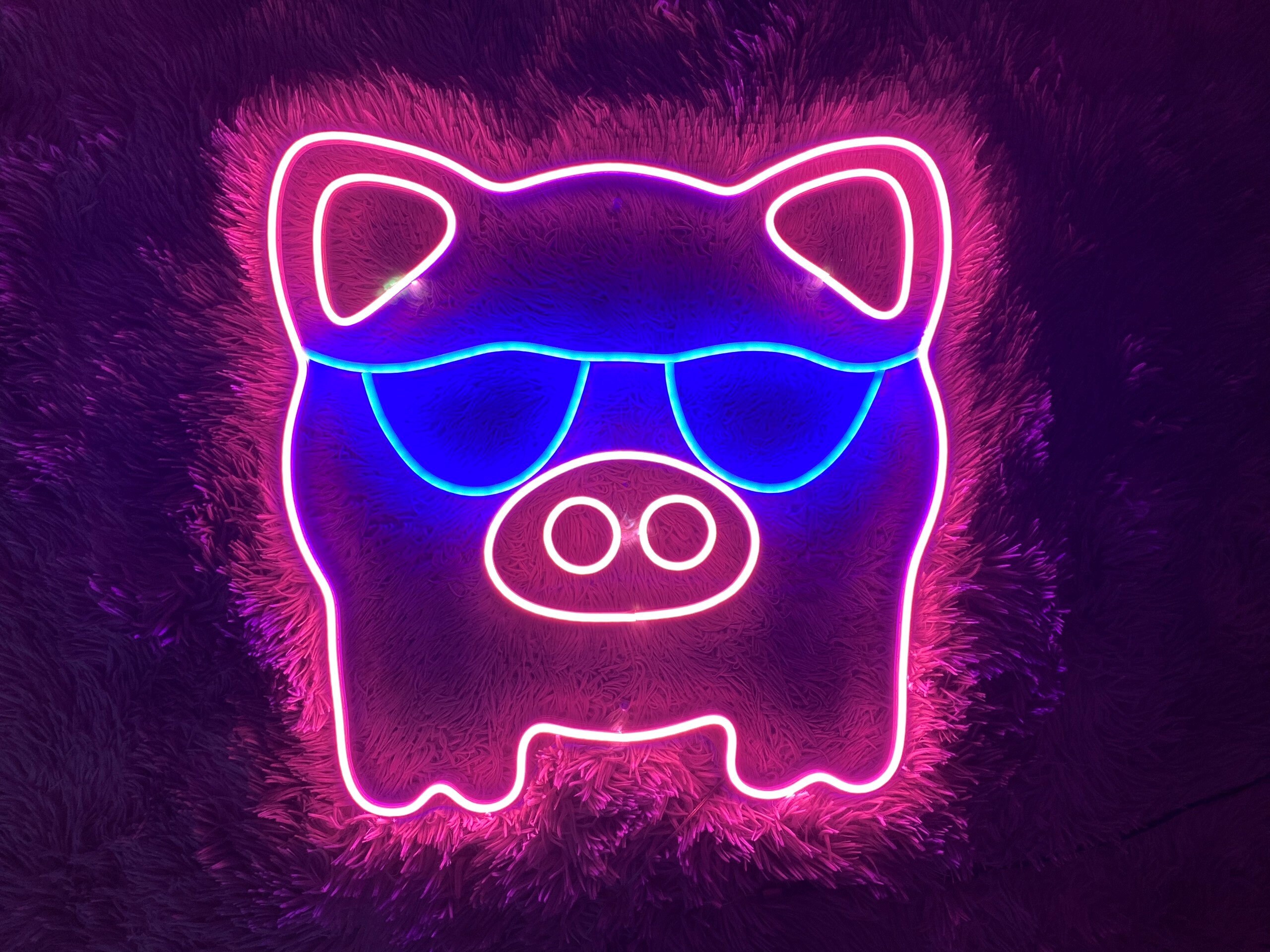 Cool Pig Neon Signs